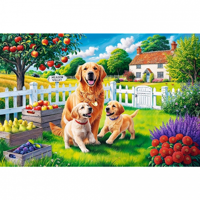 Puzzle - 300 pièces - Chiots à la campagne Trefl