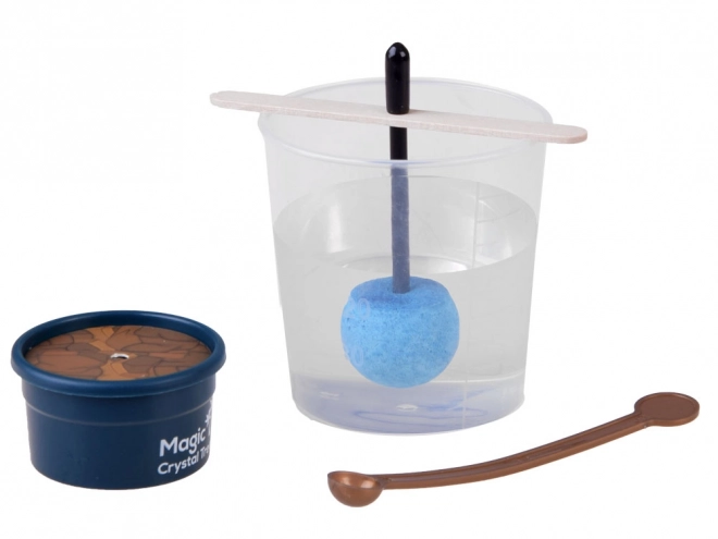 Kit de culture de cristaux - Arbre de la chance