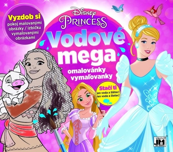 Grands livres à colorier à l'eau Disney Princesses