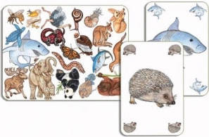 Jeu de cartes Zanimatch