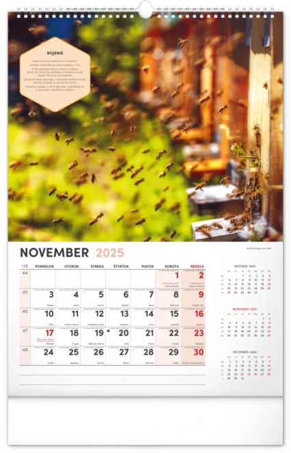 Calendrier mural NOTIQUE Apiculture 2025, 33 x 46 cm