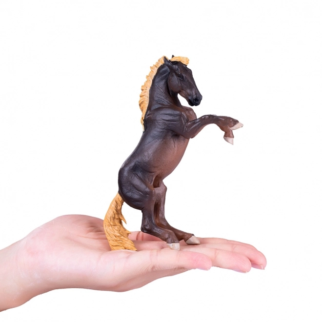 Mojo Étalon Brumby