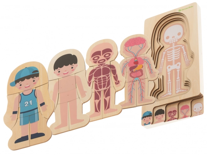Puzzle en bois multicouche le corps humain Montessori
