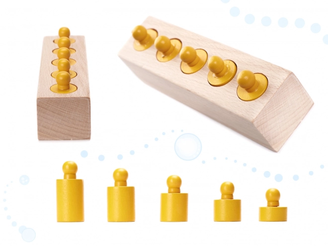 Poids colorés d'insertion en bois Montessori