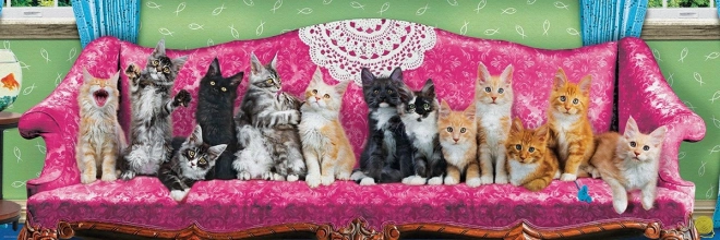 Puzzle panoramique Chats sur un canapé de chat - 1000 pièces
