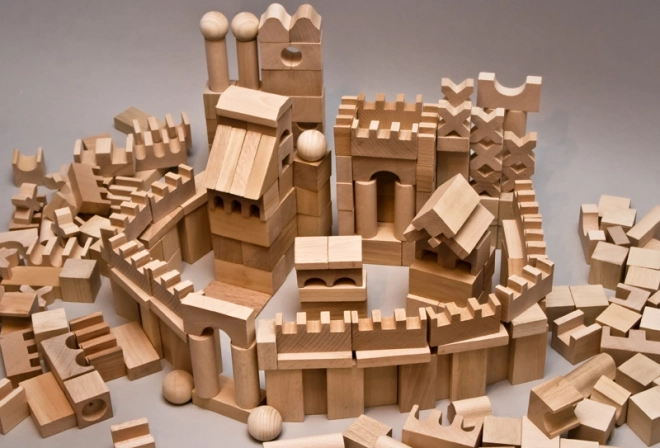 EkoToys Blocs de bois naturels 220 pcs XL