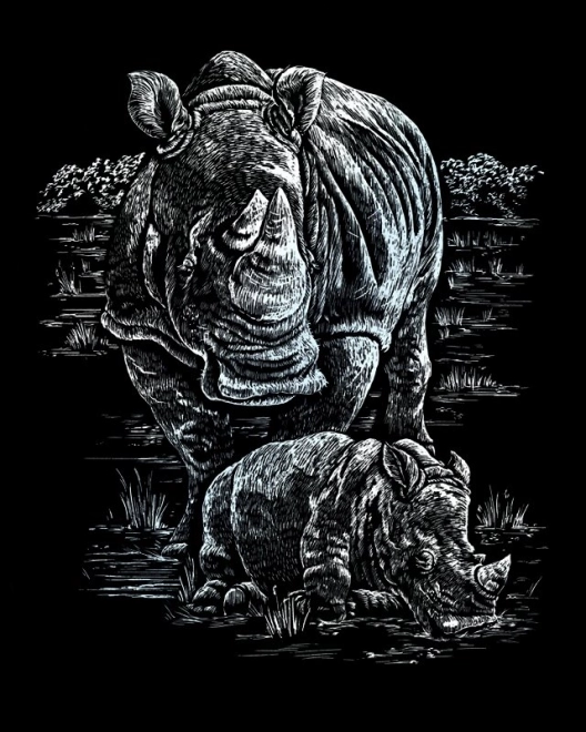 ROYAL & LANGNICKEL Illustrations à gratter en bloc Animaux sauvages