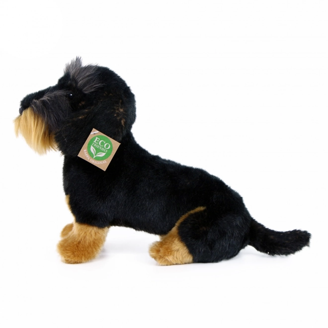Teckel à poil dur en peluche assis 30 cm ECOLOGIQUE