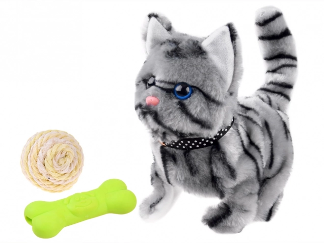 Chat interactif gris pour jouer