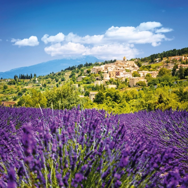 Calendrier à notes Provence 2026