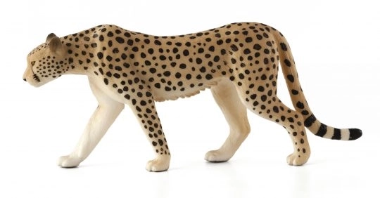 Mojo Guépard