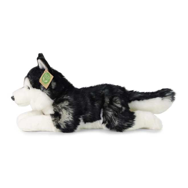 Chien husky en peluche 36 cm ÉCOLOGIQUE