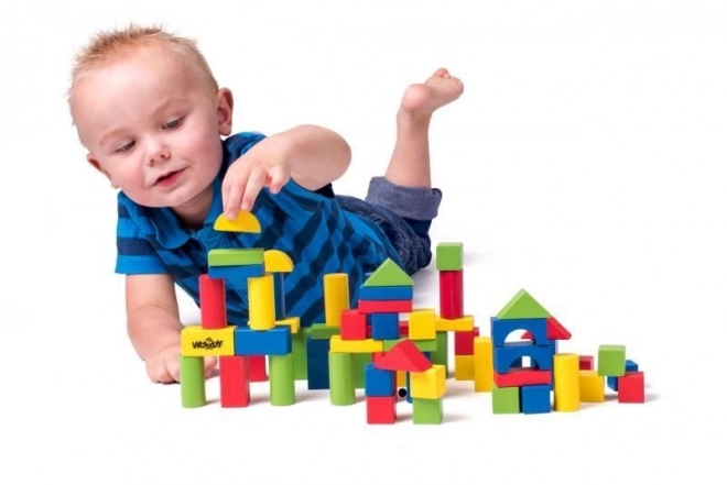 Cubes en bois dans un seau de 100 pièces