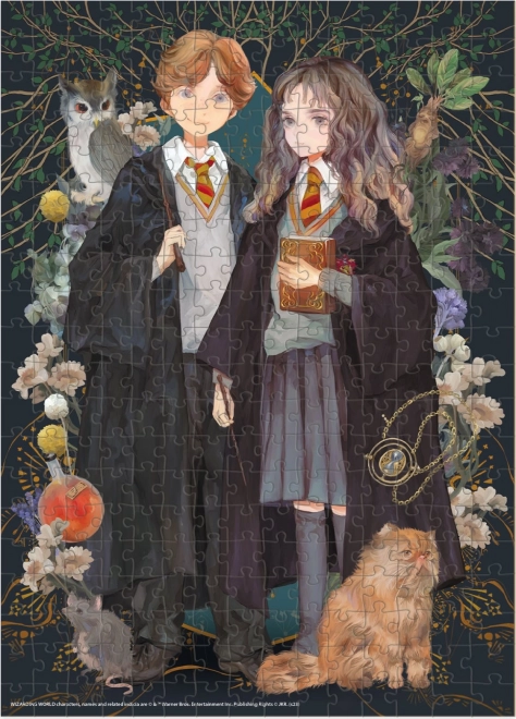 Puzzle Harry Potter : Ron et Hermione 300 pièces