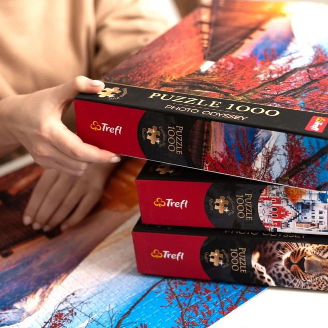 TREFL Puzzle Premium Plus Photo Odyssey: Île aux Esprits, Canada 1000 pièces