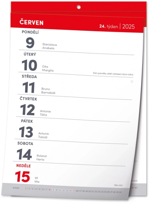 CALENDRIER Mural Détachable Hebdomadaire 2025, A5
