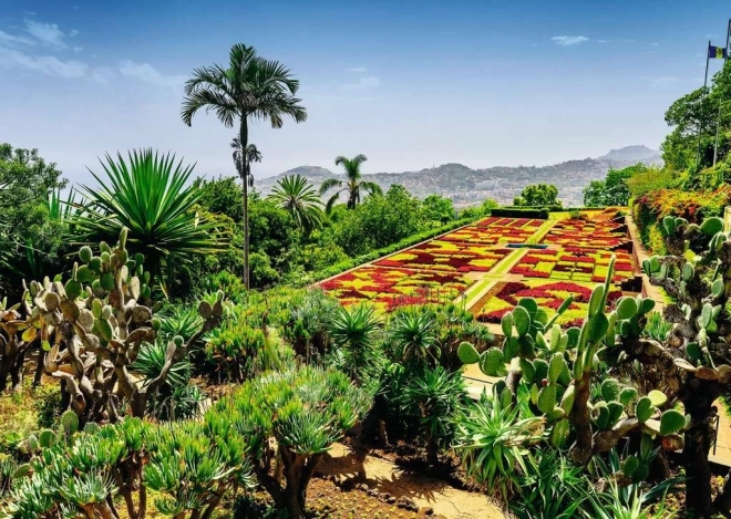 Puzzle des Jardins Magiques Jardin Botanique