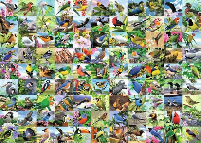 Puzzle 2D grand format – 99 oiseaux enchanteurs, 300 pièces