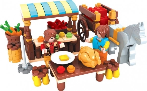 Kit de Construction Ferme Dromader