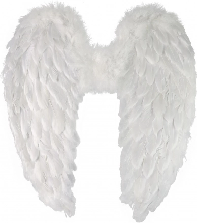 Ailes d’ange en plumes