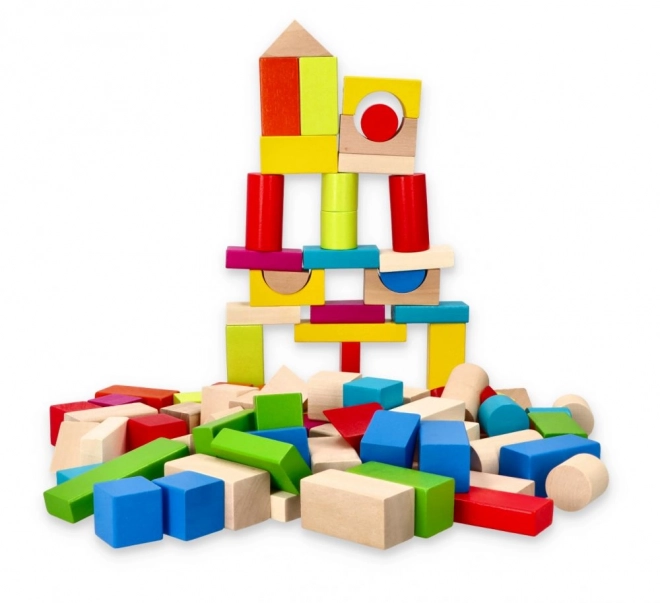 Blocs en bois colorés 100 pcs
