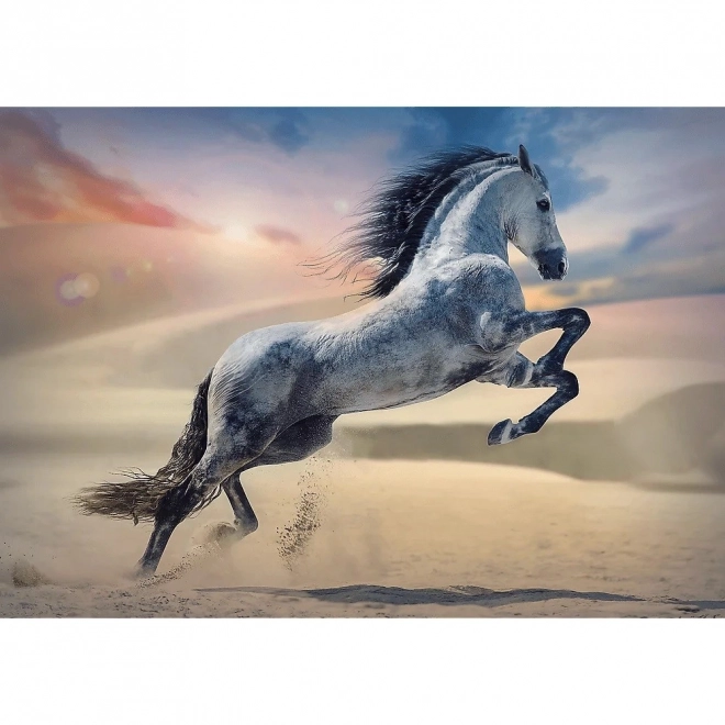 Puzzle 1000 pièces Cheval Majestueux