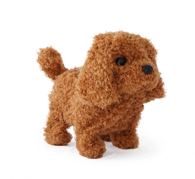 Caniche à piles