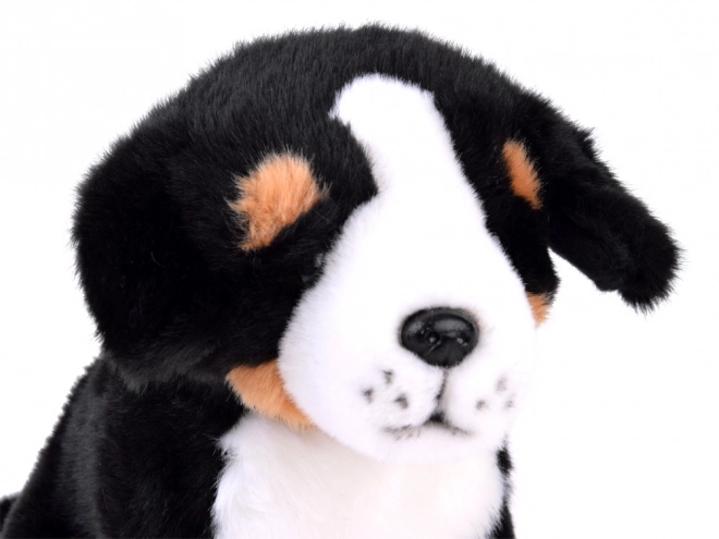 Chien en peluche Bouvier bernois - assis 20 cm