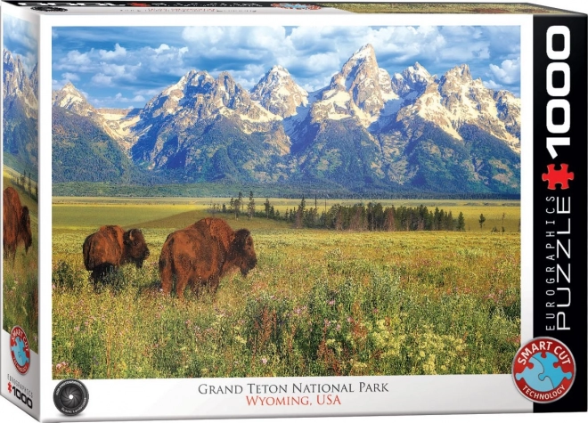 Puzzle magnifique Parc national Grand Teton 1000 pièces