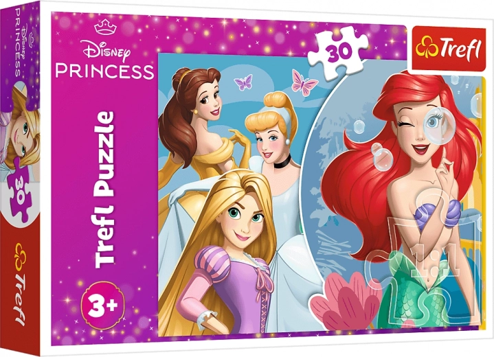 Motif des princesses DISNEY PRINCESS