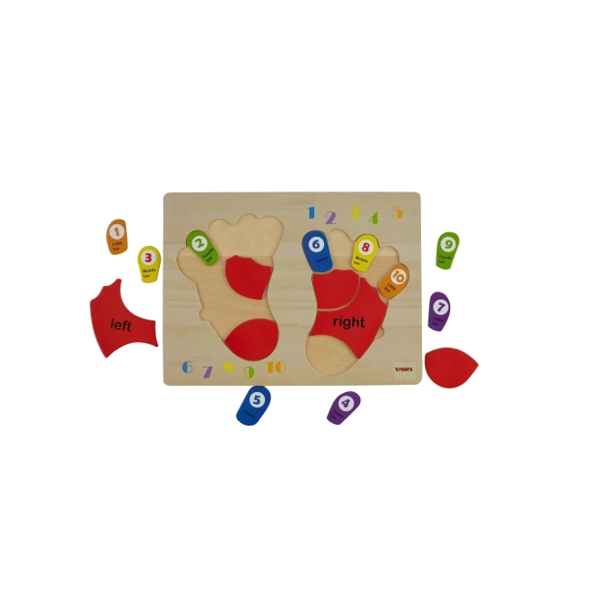 Puzzle en bois éducatif TOOKY TOY - Apprendre les chiffres et les couleurs