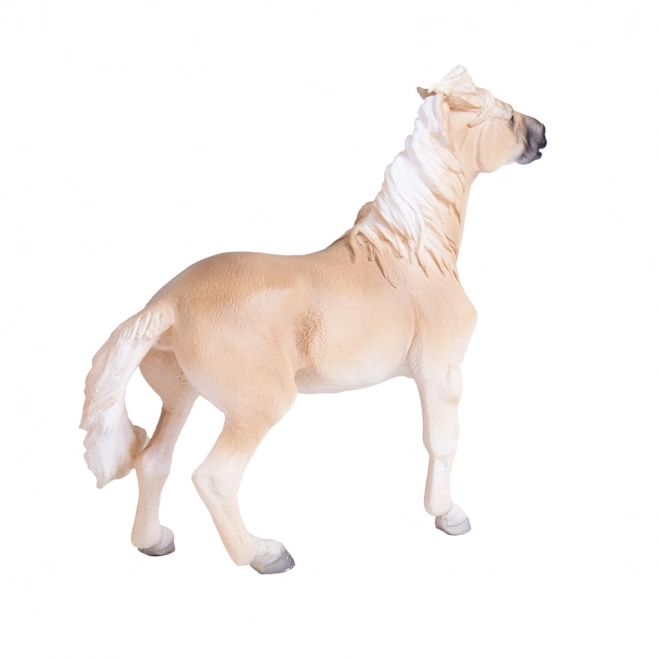 Mojo Cheval Brumby Mare