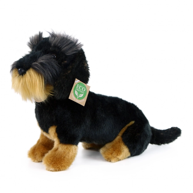 Teckel à poil dur en peluche assis 30 cm ECOLOGIQUE