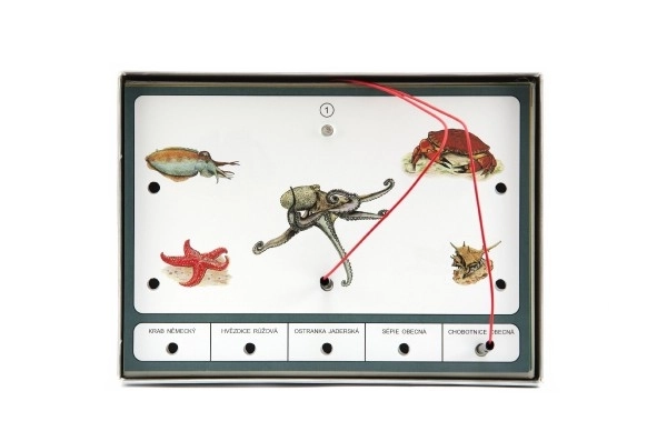 Jeu éducatif - Animaux du monde