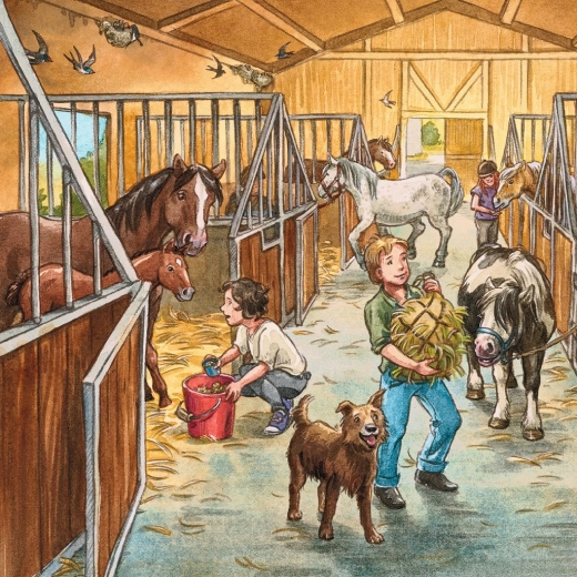 Qualité RAVENSBURGER pour un assemblage facile