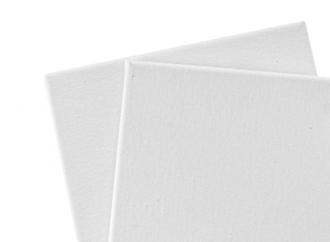 Toiles pour la peinture 20x20 cm - 2 pcs