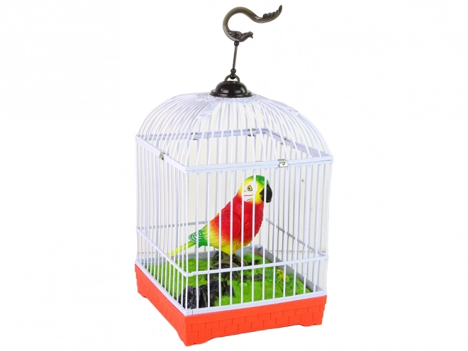 Perroquet coloré chantant avec cage