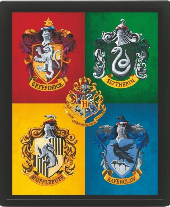 Tableau 3D Harry Potter coloré
