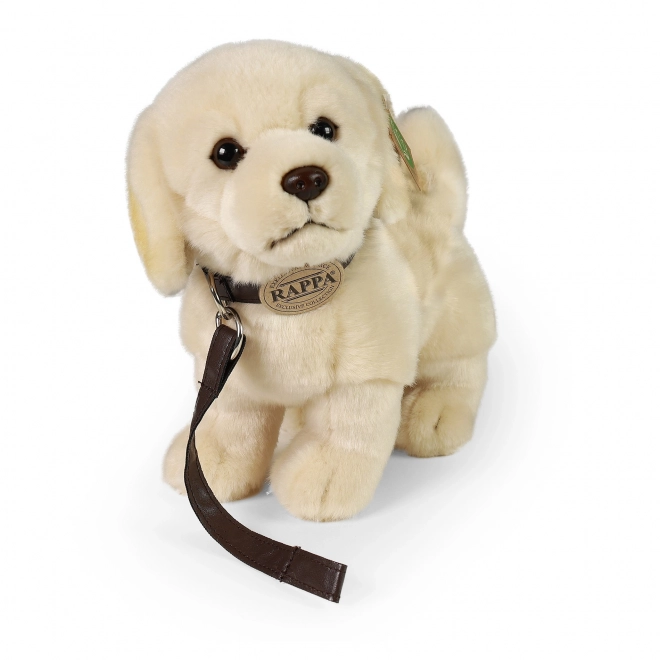 Chien en peluche Golden Retriever avec laisse 25 cm