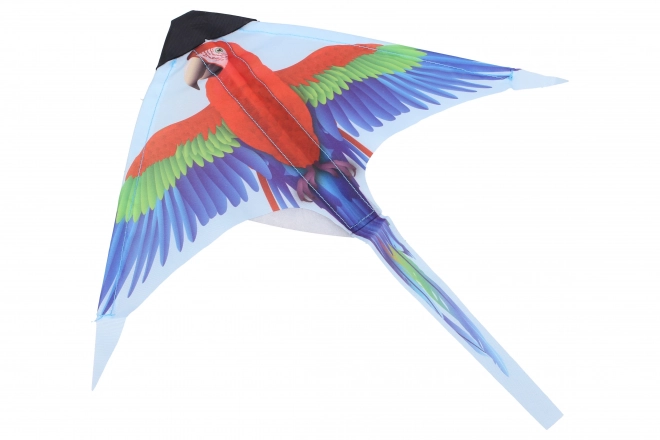 Cerf-volant lance-papillon 38 cm