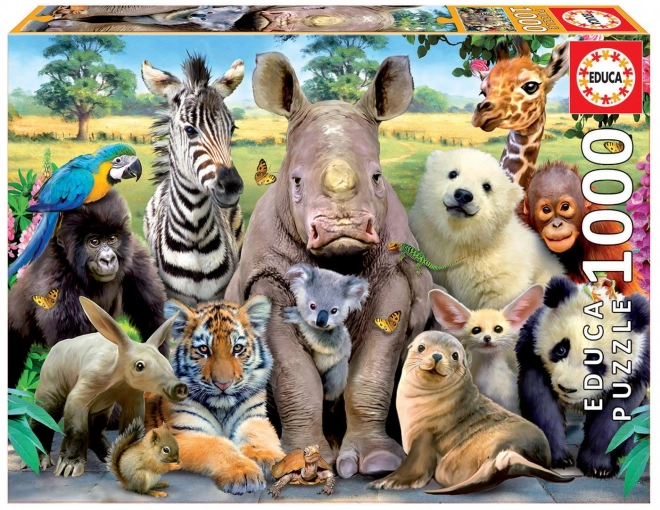 Puzzle Educa photographie scolaire 1000 pièces