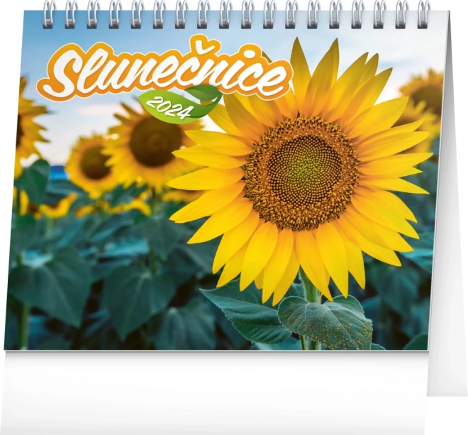 Calendrier de bureau Tournesol, avec citations 2024, 16,5 × 13 cm