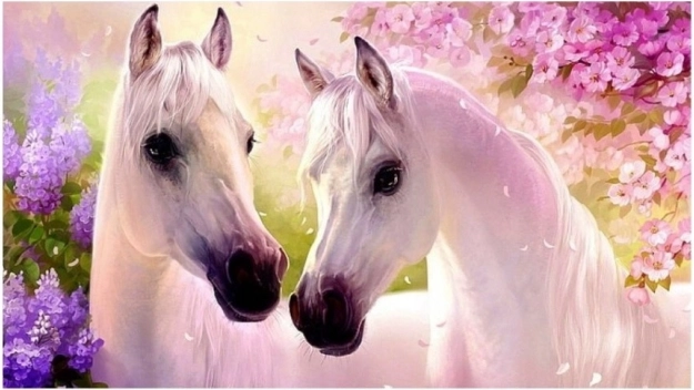 Peinture diamant – chevaux amoureux 30x40 cm NORIMPEX