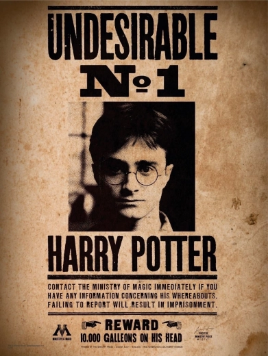 Mini puzzle HARRY POTTER 50 pièces – affiche