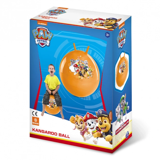 Balle sauteuse Pat' Patrouille 50 cm