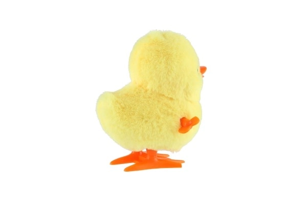 Canard sauteur à remontoir