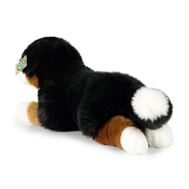 Chien de montagne bernois en peluche allongé 44 cm ÉCOLOGIQUE