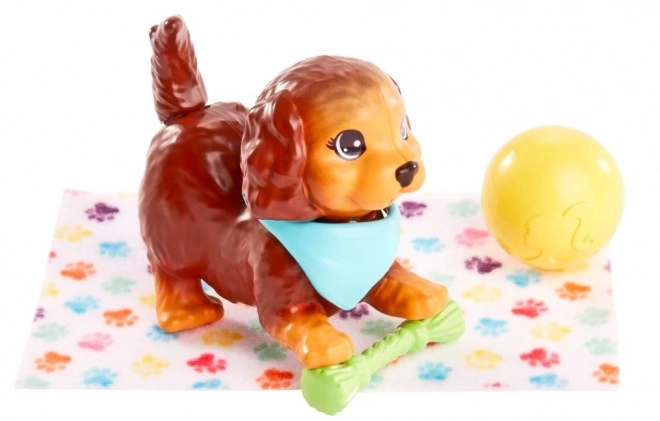 Barbie ensemble pour animaux de compagnie