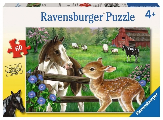 Puzzle Poulain et Faon 60 pièces