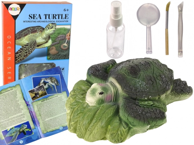 Ensemble éducatif fouilles tortue Ammonites